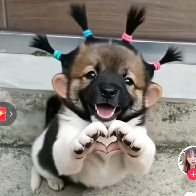 🧚🏻‍♀️🧞‍♂️拽🧜‍♀️爷?