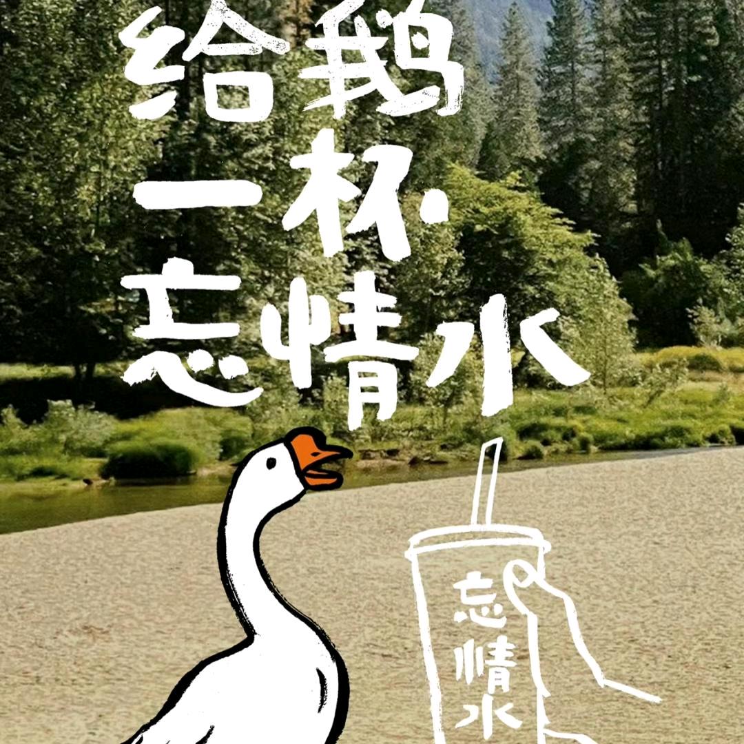 一只老天鹅🌿