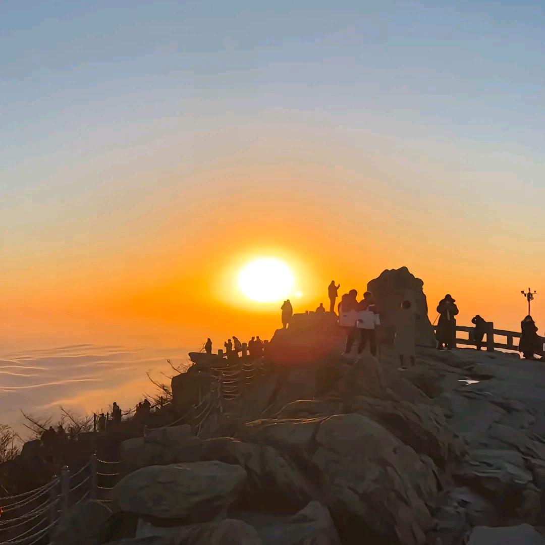 峤哥