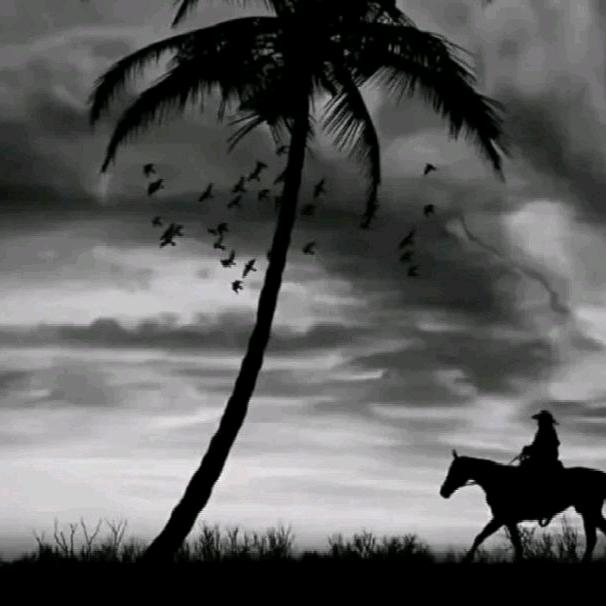 🌊骁龙……小号🎺