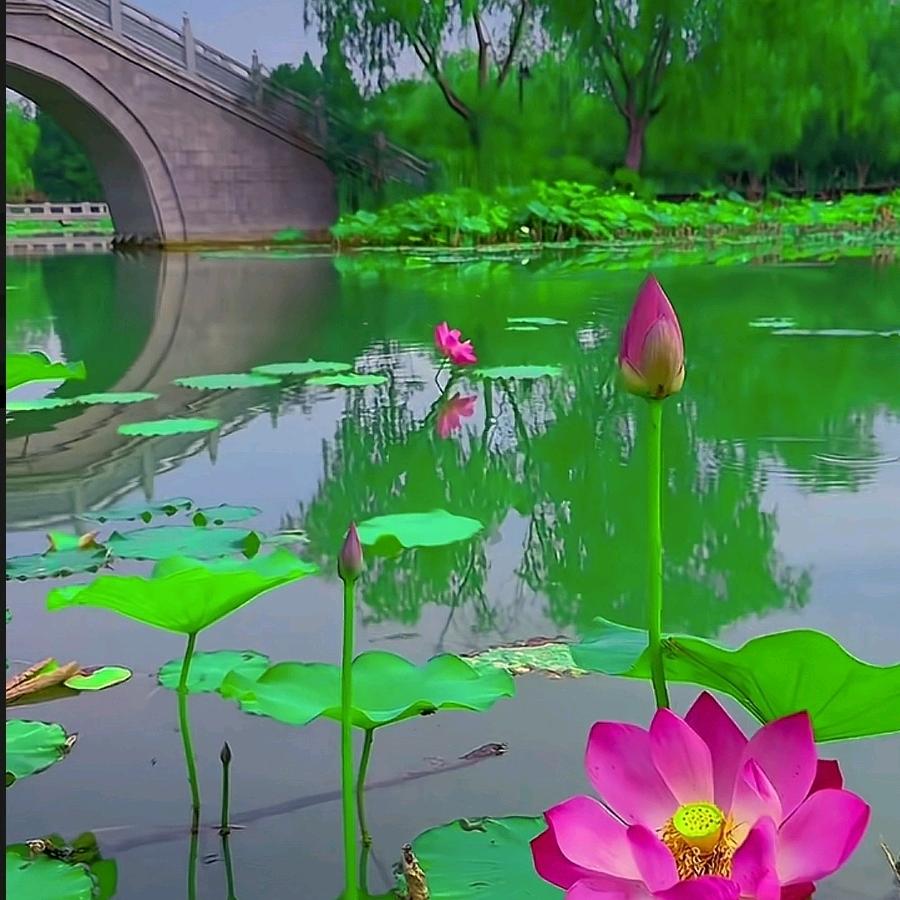 禄存福安