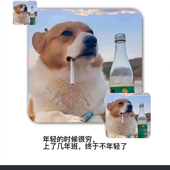 长街听风