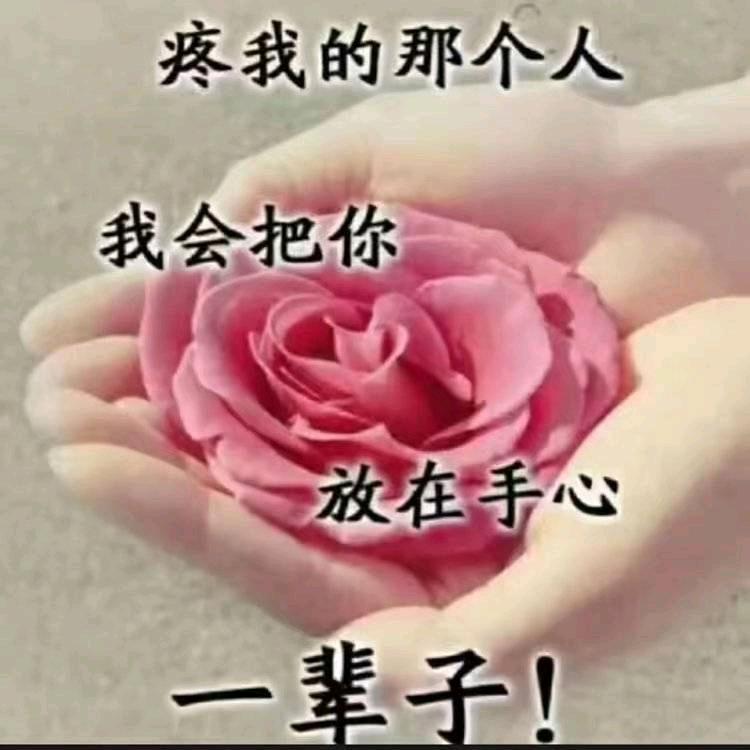 封心锁爱🌹🌹🌹