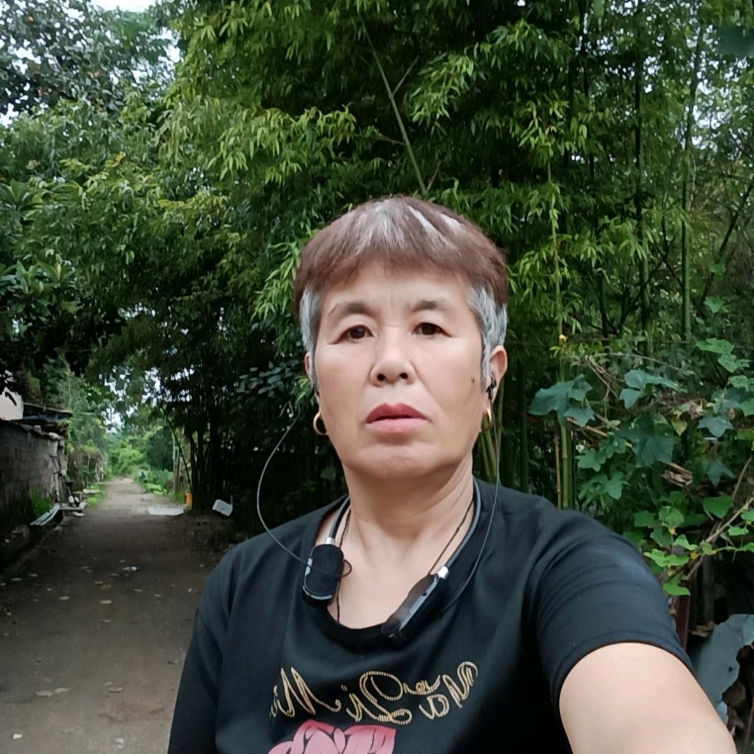 齐姐