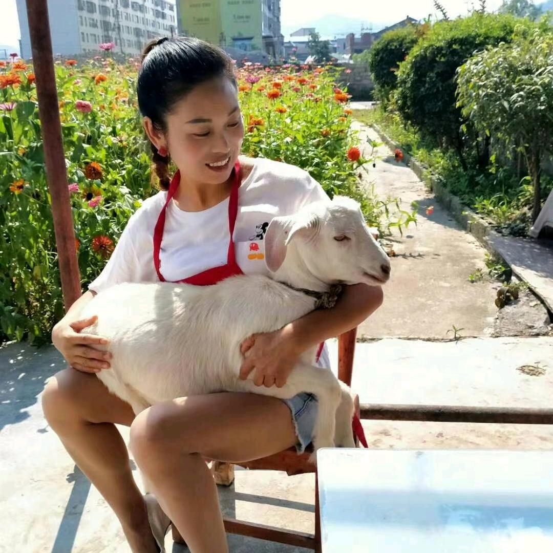 银银爱美食