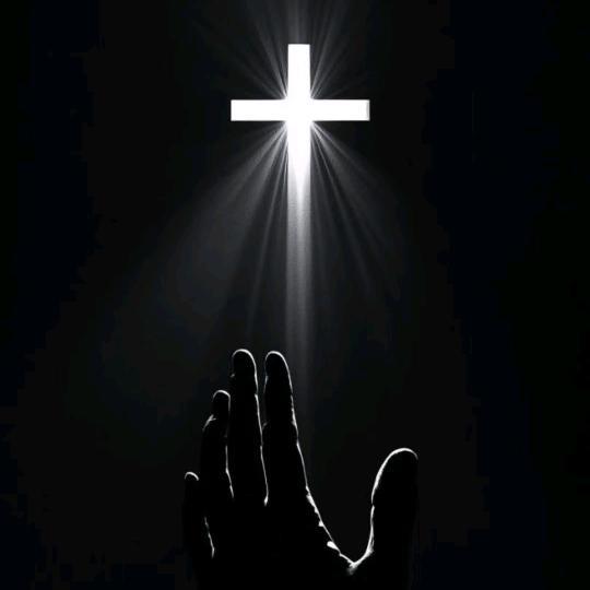 菜ꕥ⃝ᮨ້🦋籽🕊