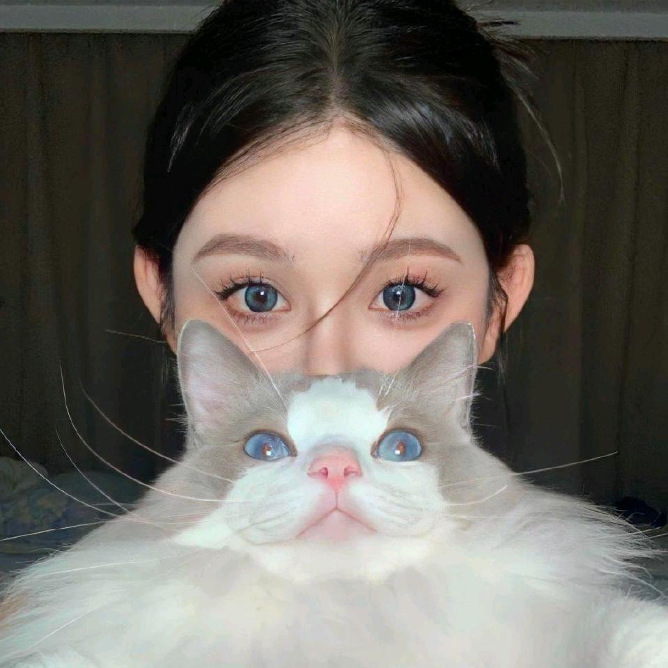 ʚ恶龙咆哮ɞ