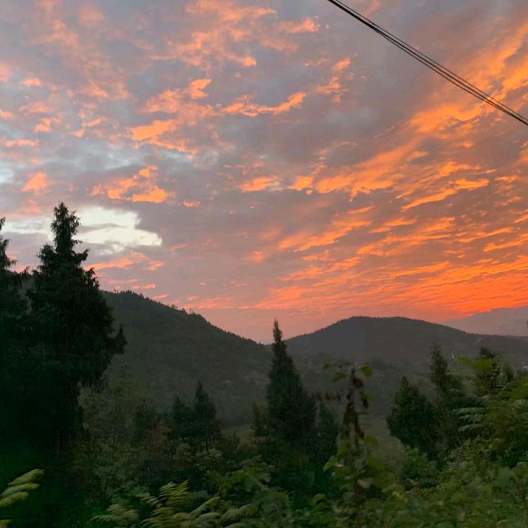 呸，没有看什么呀