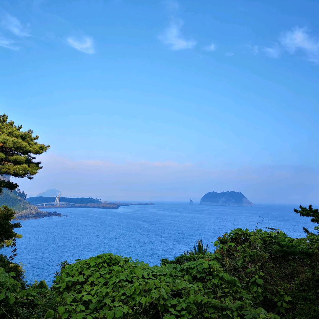 샤이니 걸🐻✈️🚄🛥⛳☕️🍷