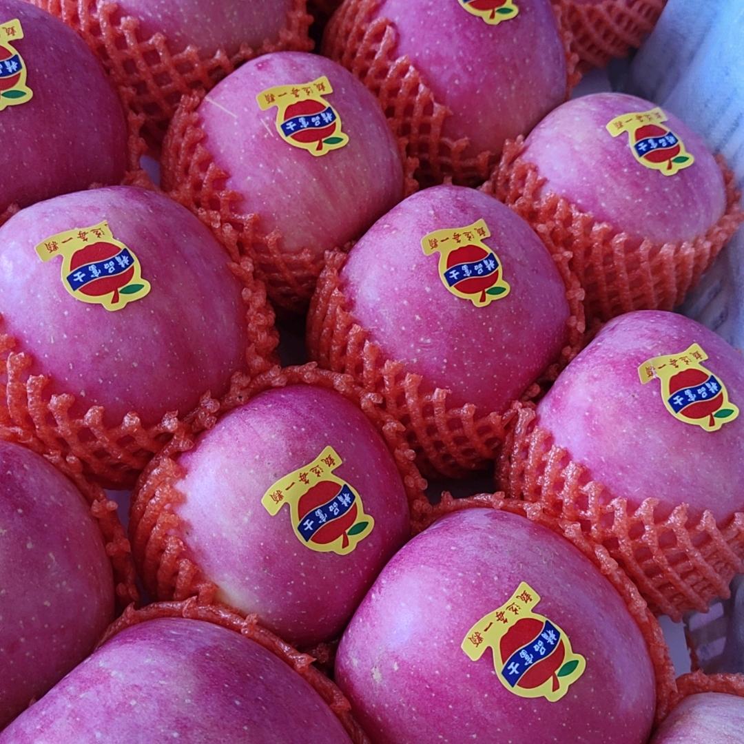 Lhj（橱窗有好物）