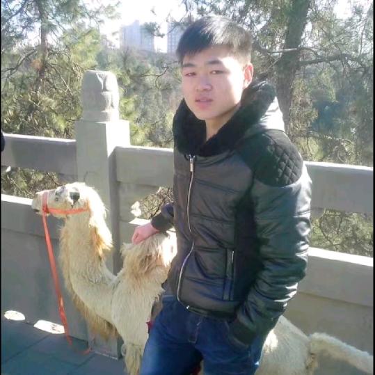 王猛（专业顶管清包团队，土压，泥水都可