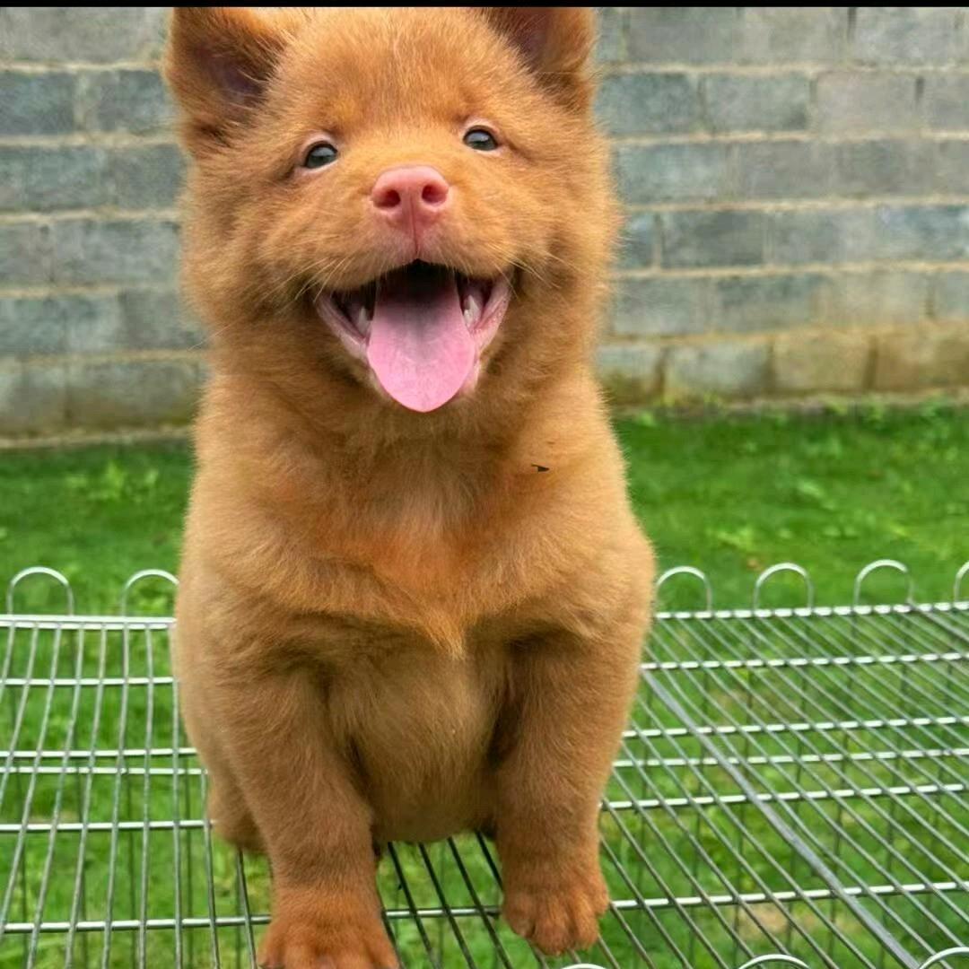 乐富购销部小于直播号