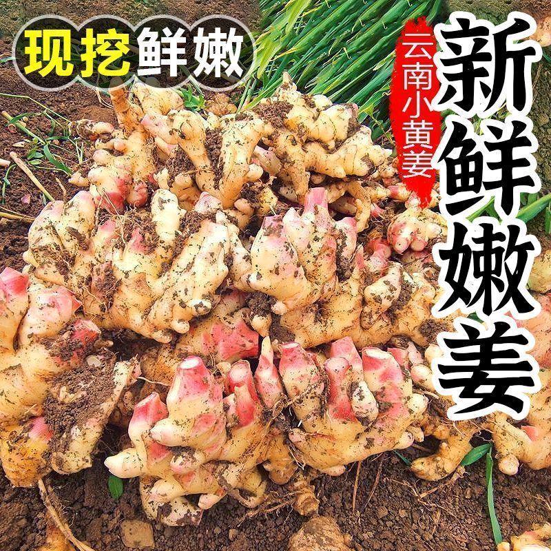 云南姜辣优选