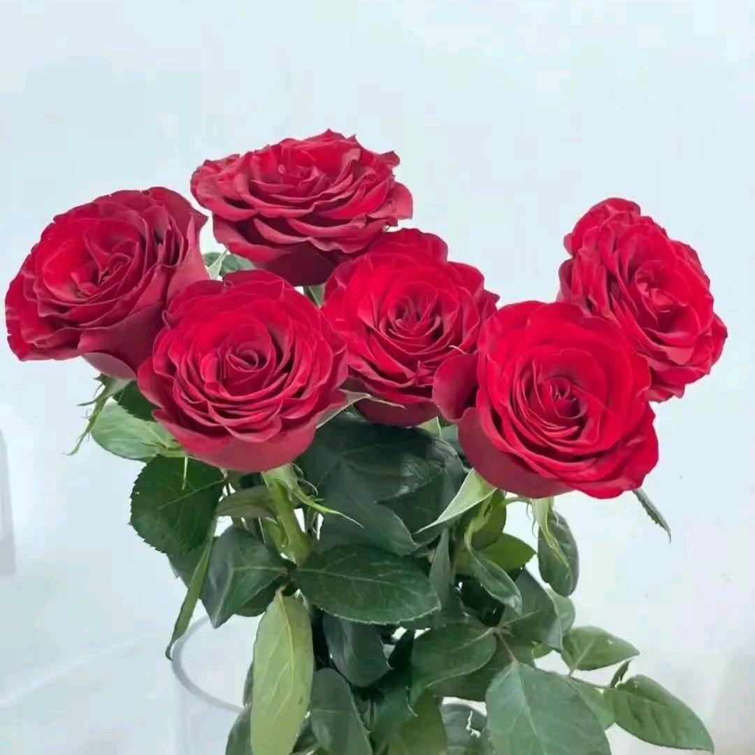 郭师傅推拿按摩