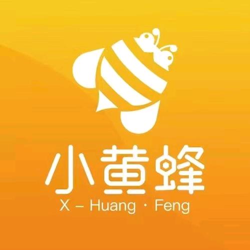 小黄蜂家政—阿秀