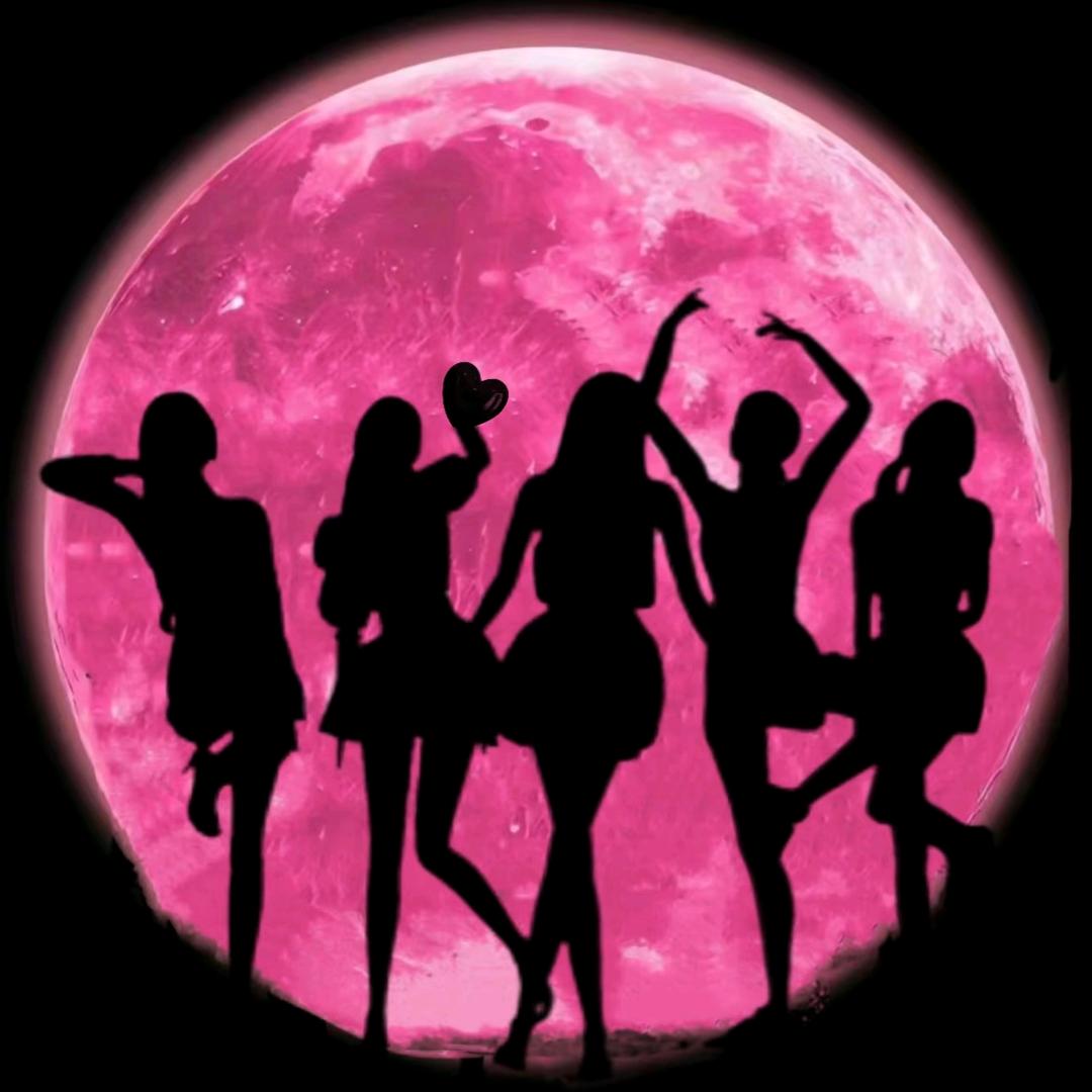 星辰·XC（团队纳新）