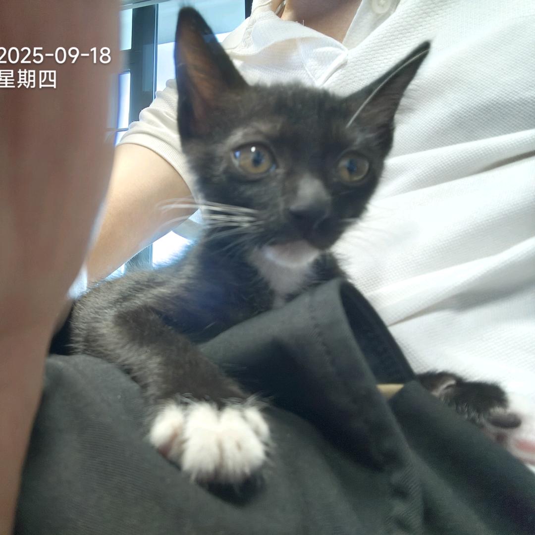 U盘批发（可定制）