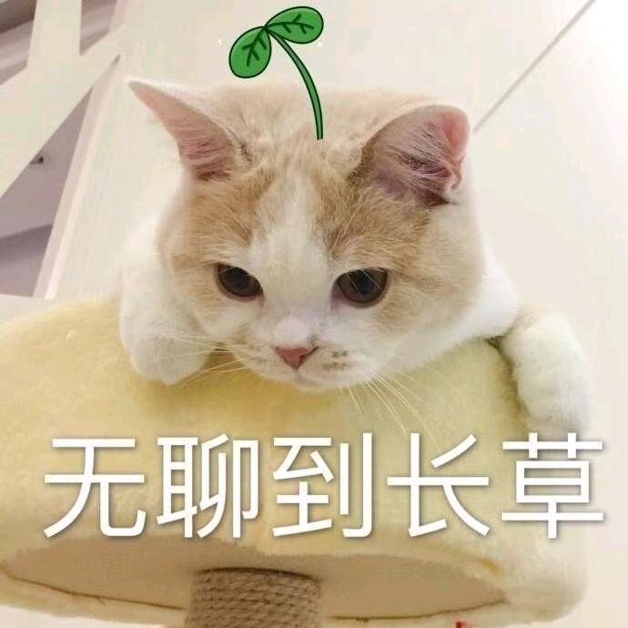💗᭄余生ᝰᩚ随心ꦿ