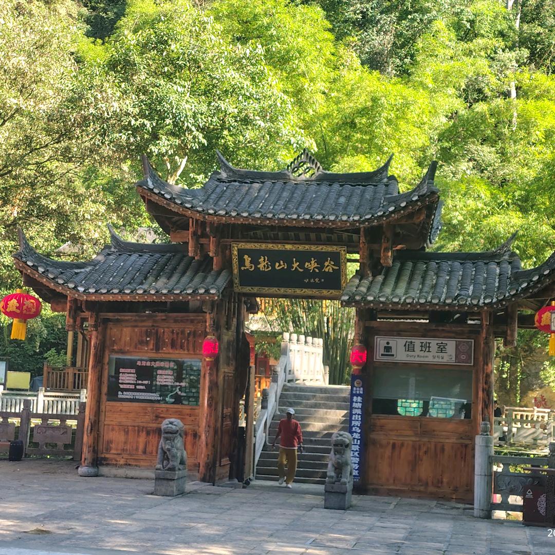 础黑咨询