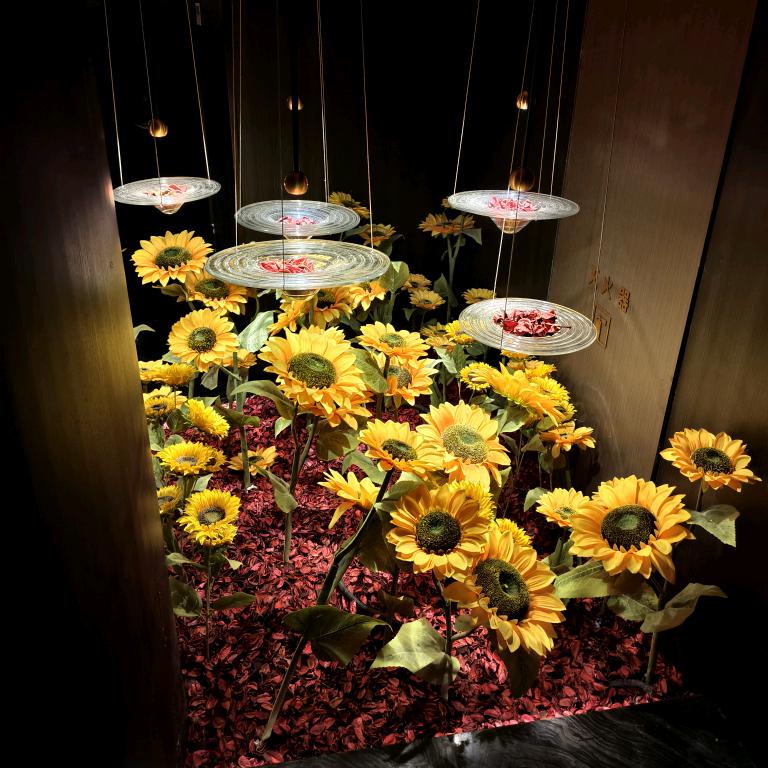 动词打次嗨起来