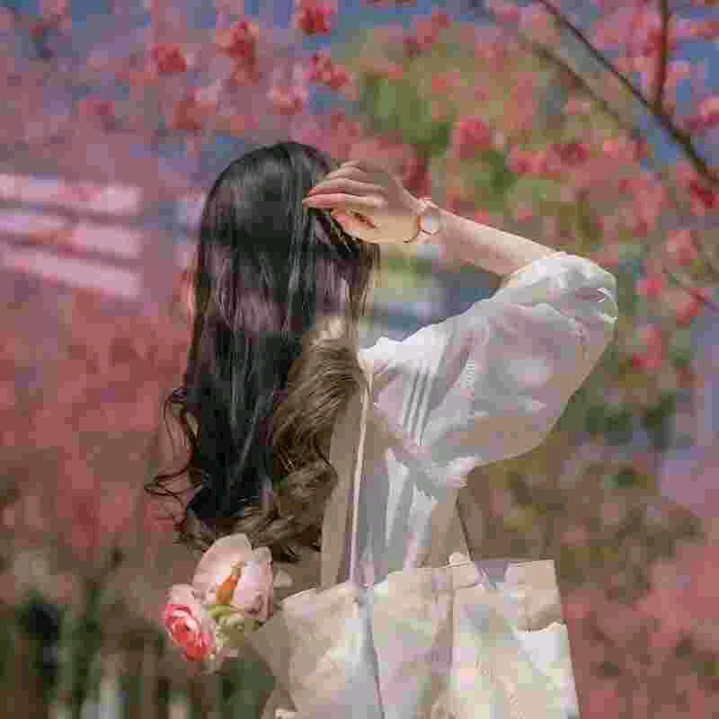 绚丽多彩🌸