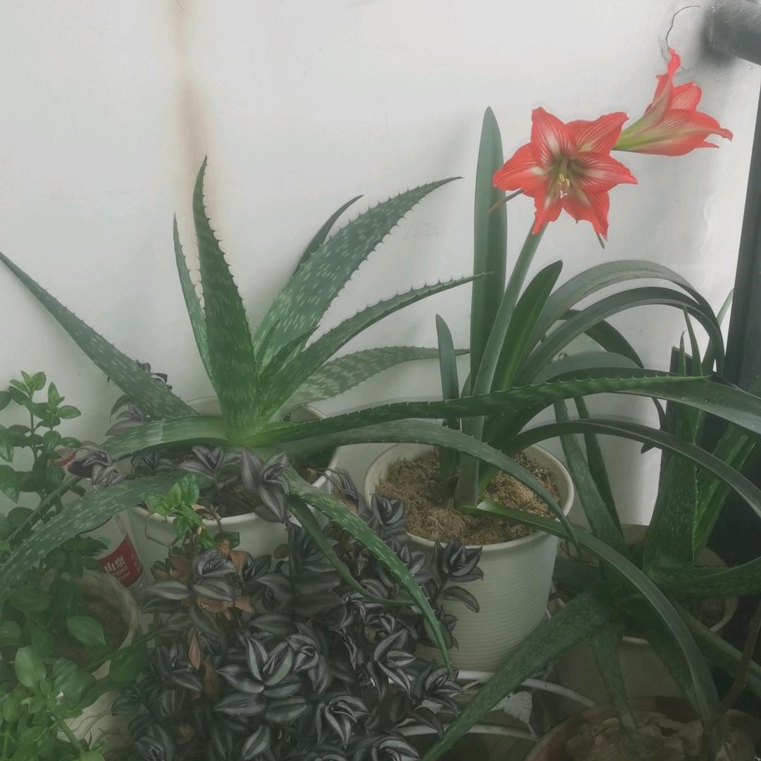 当机中⁹⁹⁷⁶