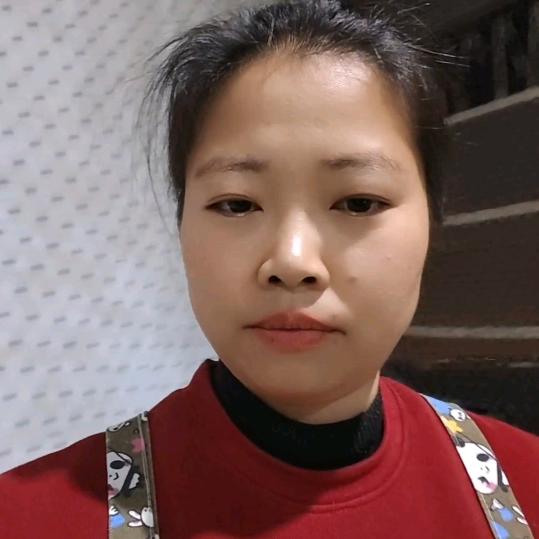 两只蝴蝶🦋🦋