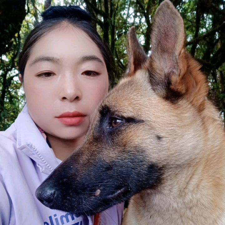 云南放羊小妹。