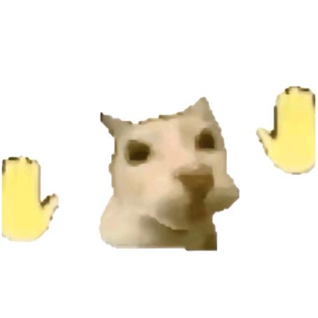 爱视奸丑的