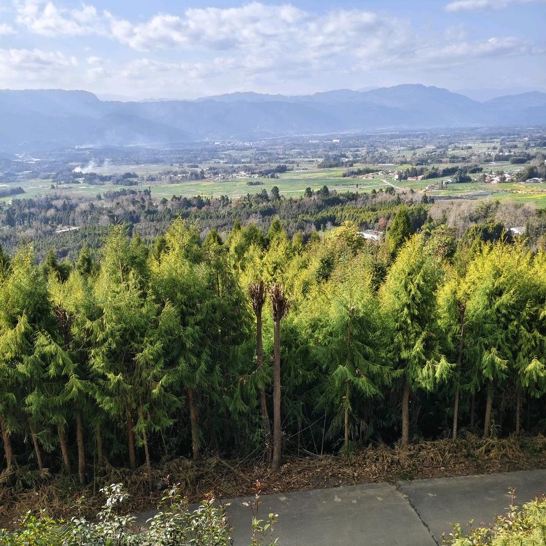 永远健康