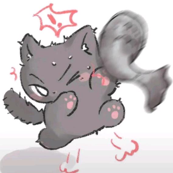 12数码(推荐➕选购)