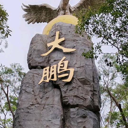 大鹏