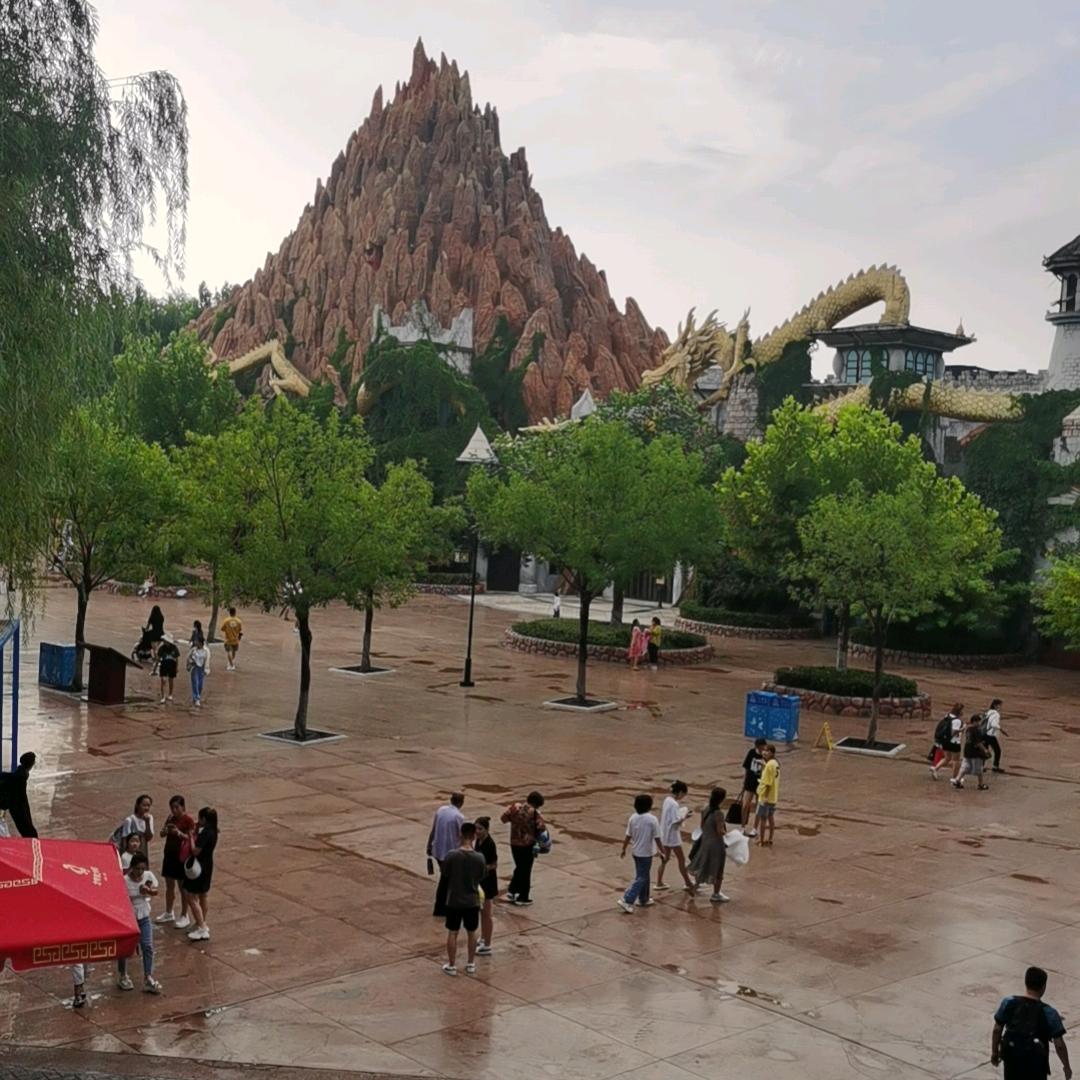 飞不飞的就是飞