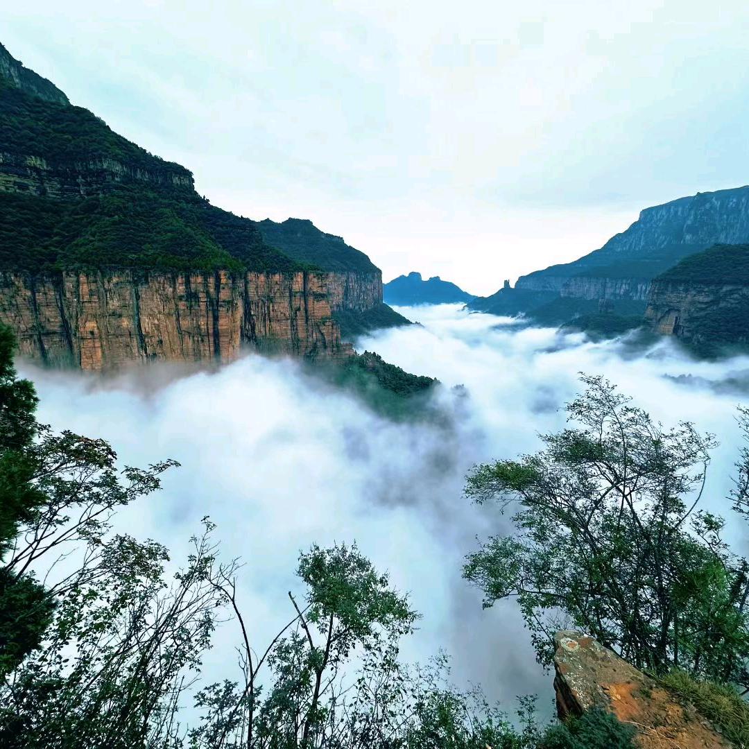翼城县花贝鲜花～752205