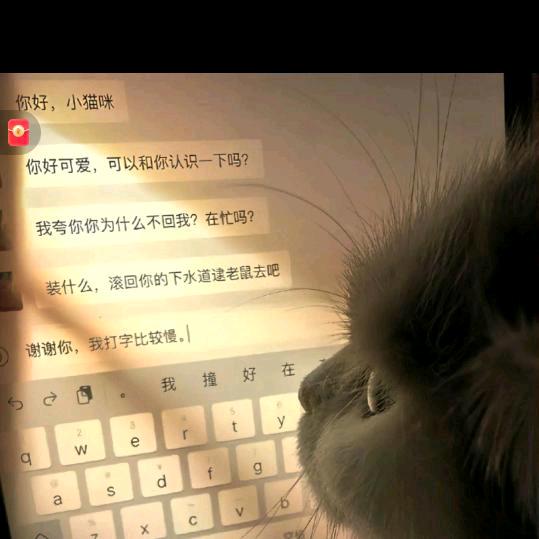 培培