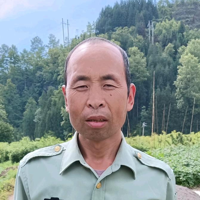 杨哥