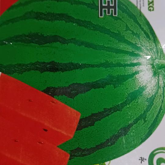 西瓜刘哥