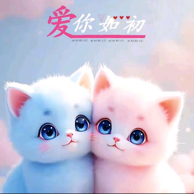无情