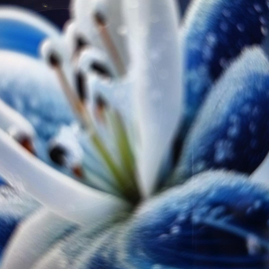 蛇蝎心肠冷漠无情