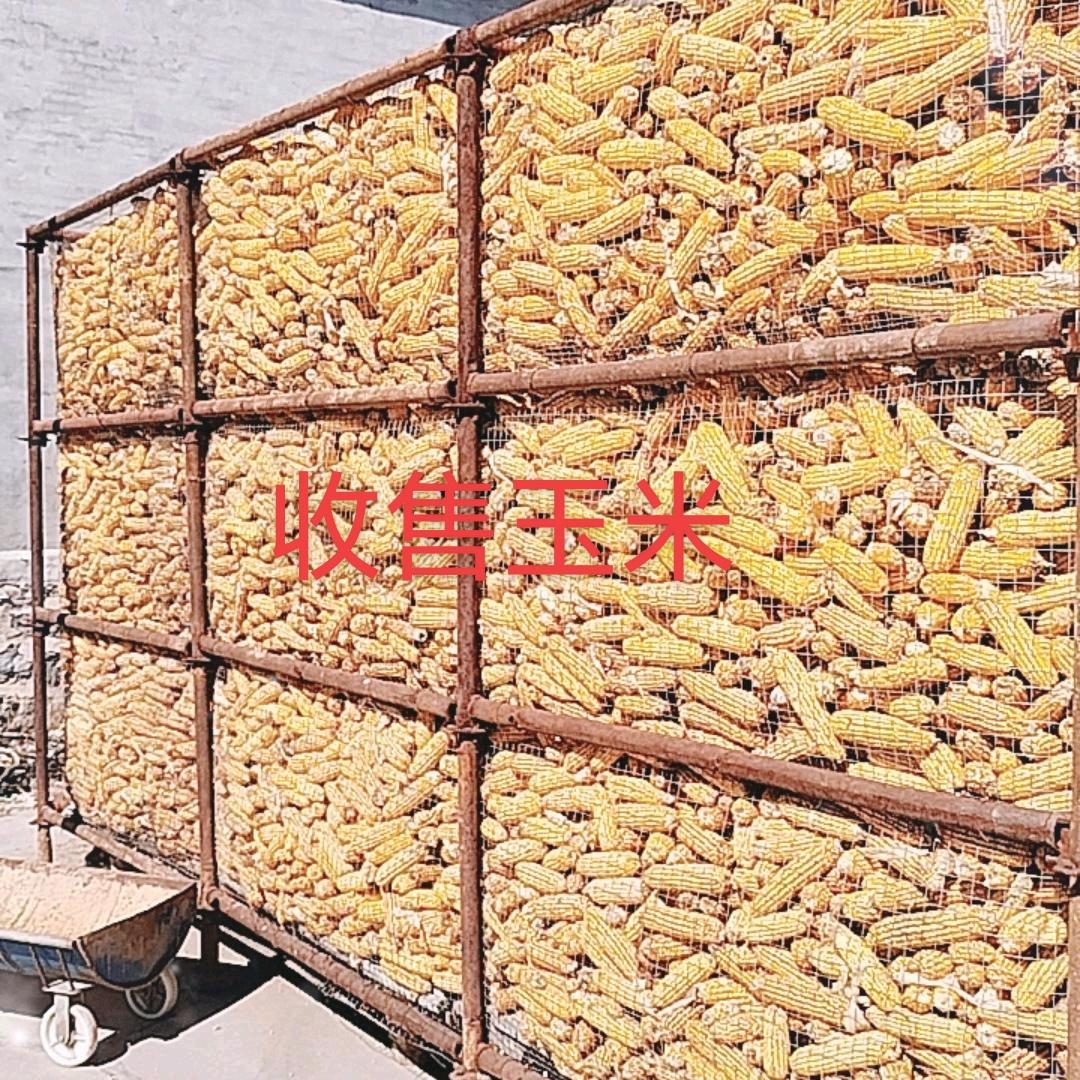 用户6819631335063玉米哥