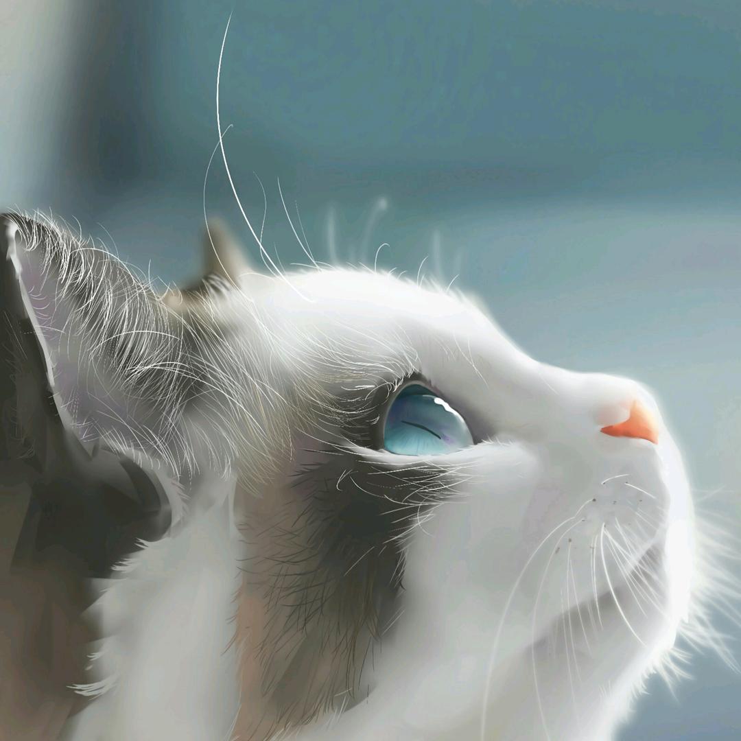 此情无关风荷月