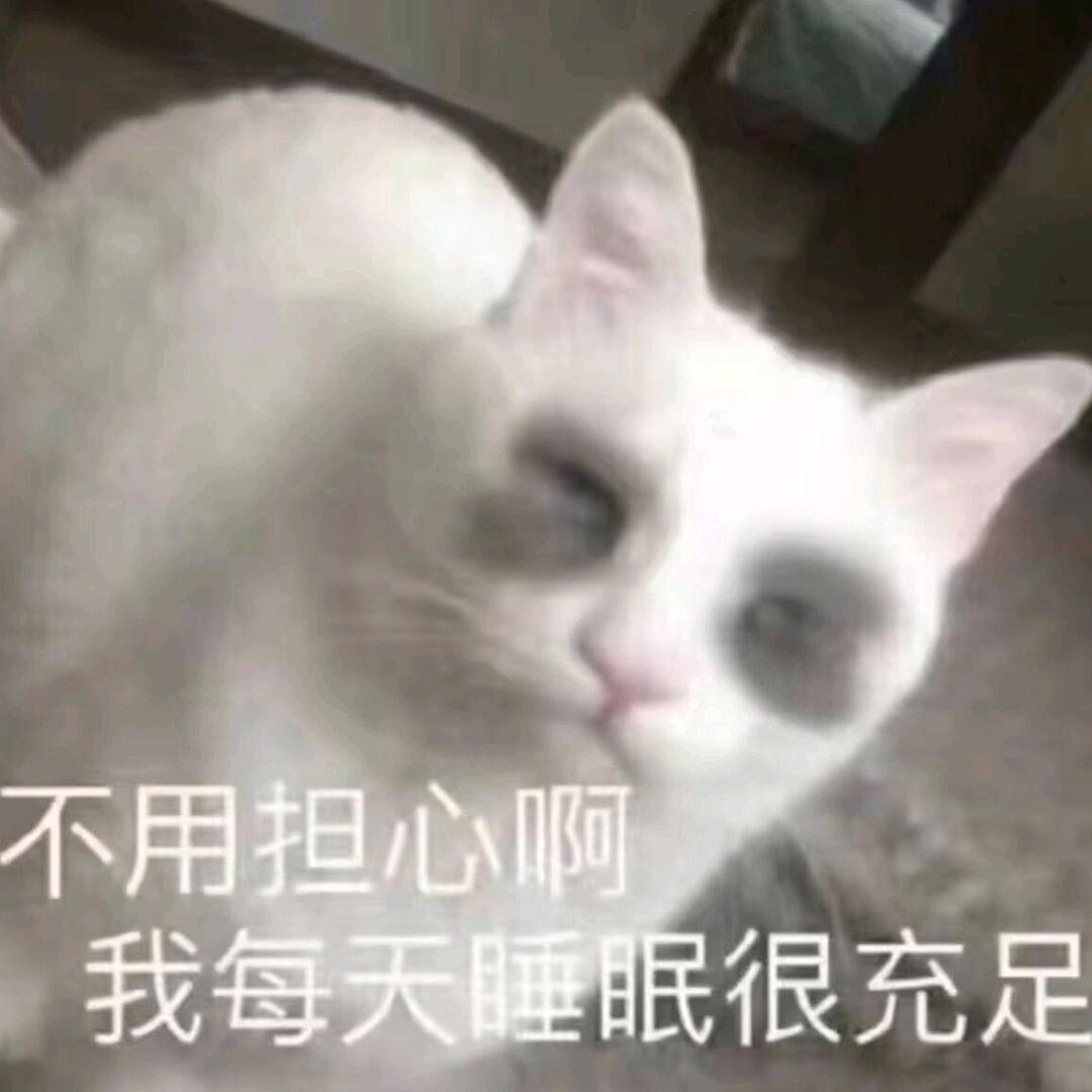 伏笔同学