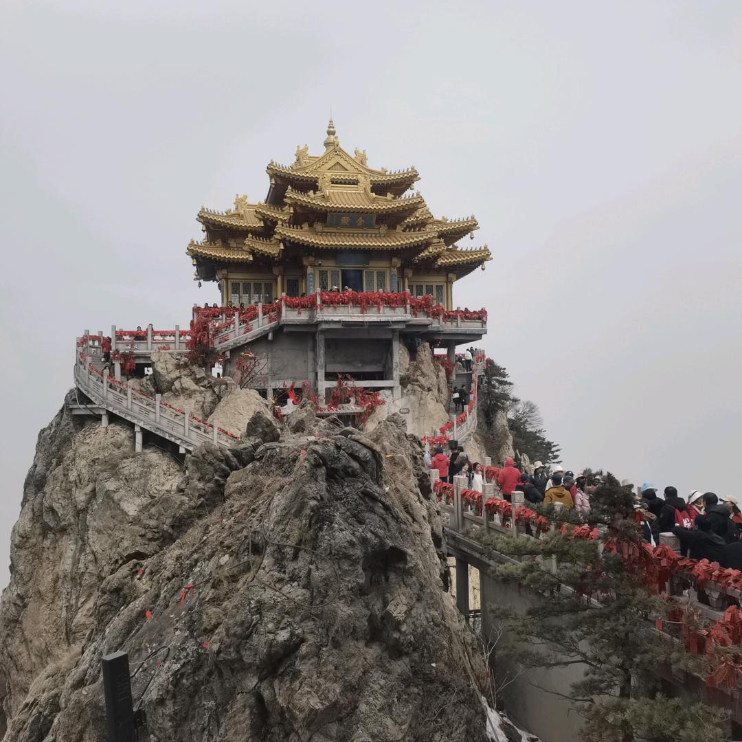 刘珈良
