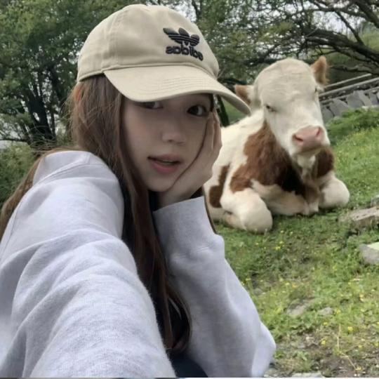 奥特曼煎蛋～～