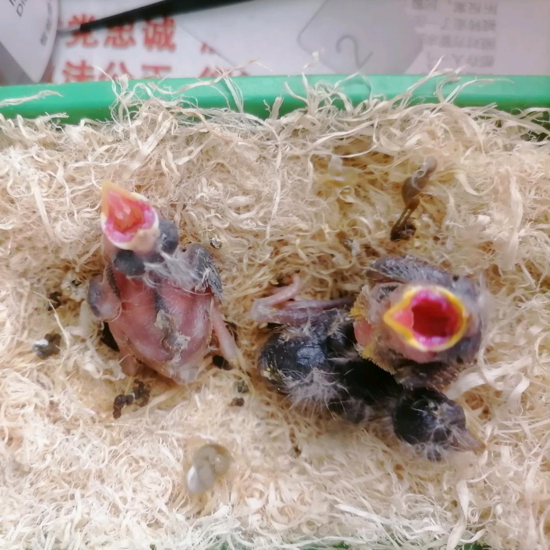 小敏宠物用品