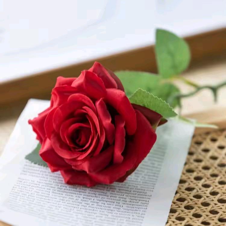 🌹往后余生