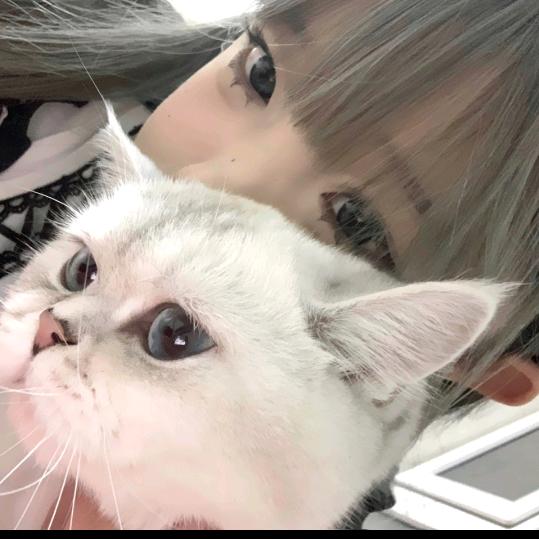 ㅤ•ㅤㅤㅤ     婷