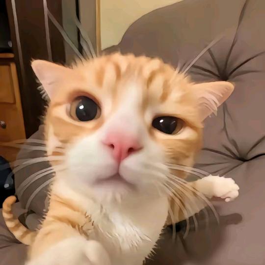 咸咸咸鱼蛋