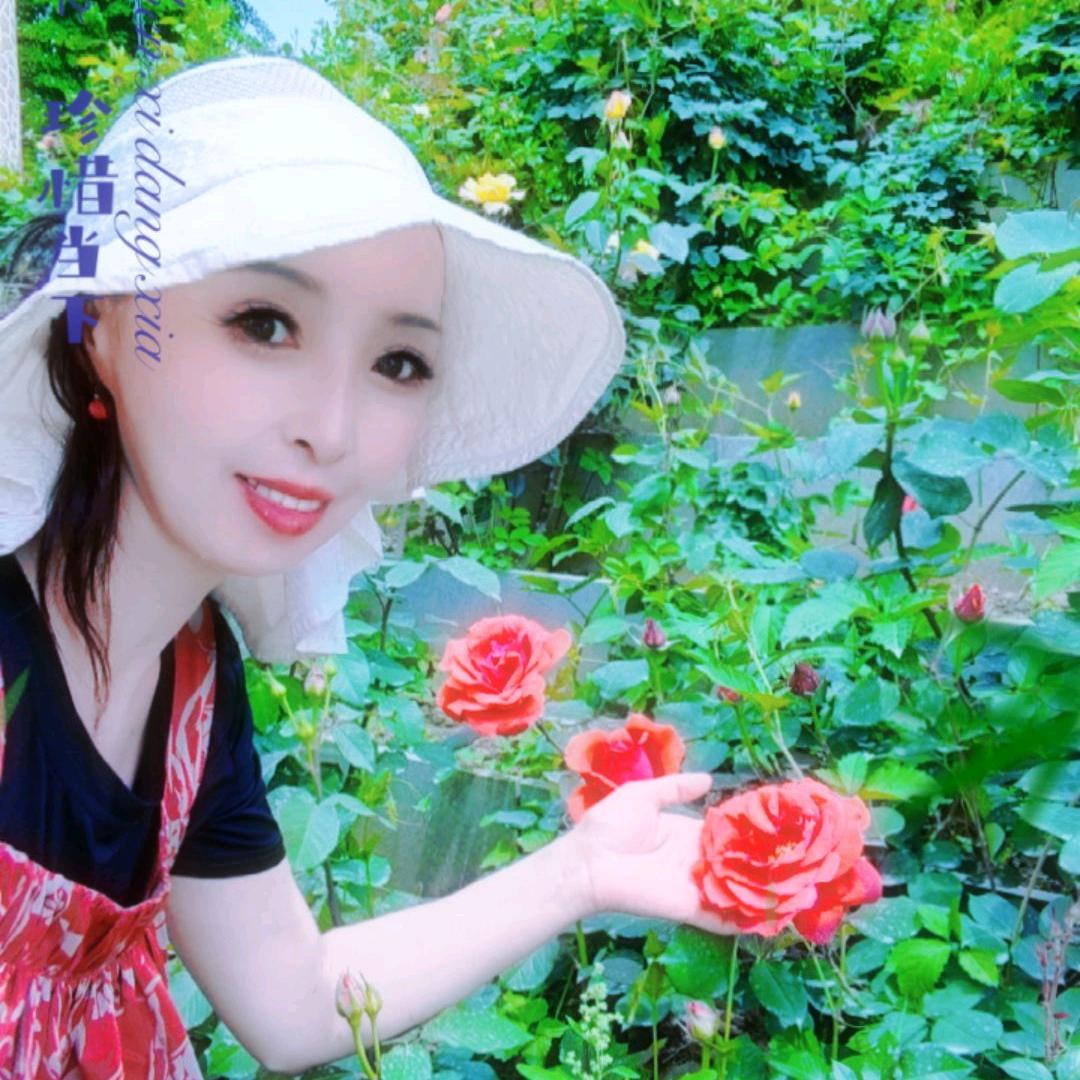 董海英