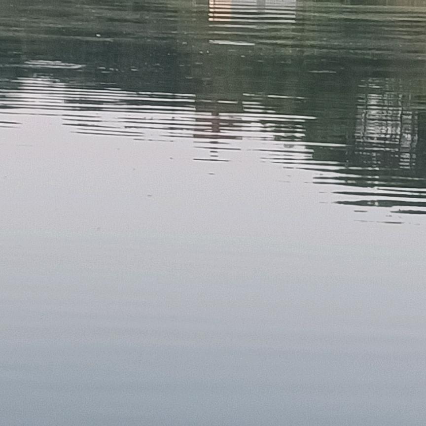 嘉丰渔业(红哥)